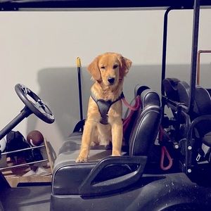 Meet your Posher, Cole